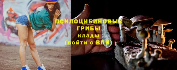 jwh Осинники