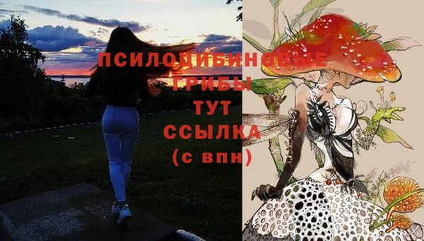jwh Осинники