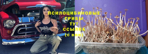 дживик Архангельск
