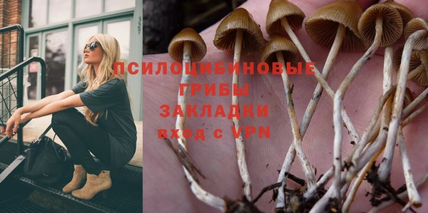 шишки Остров
