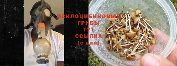 jwh Осинники