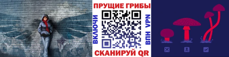 Псилоцибиновые грибы GOLDEN TEACHER  Алзамай 