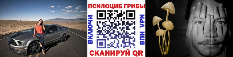 Галлюциногенные грибы прущие грибы Алзамай